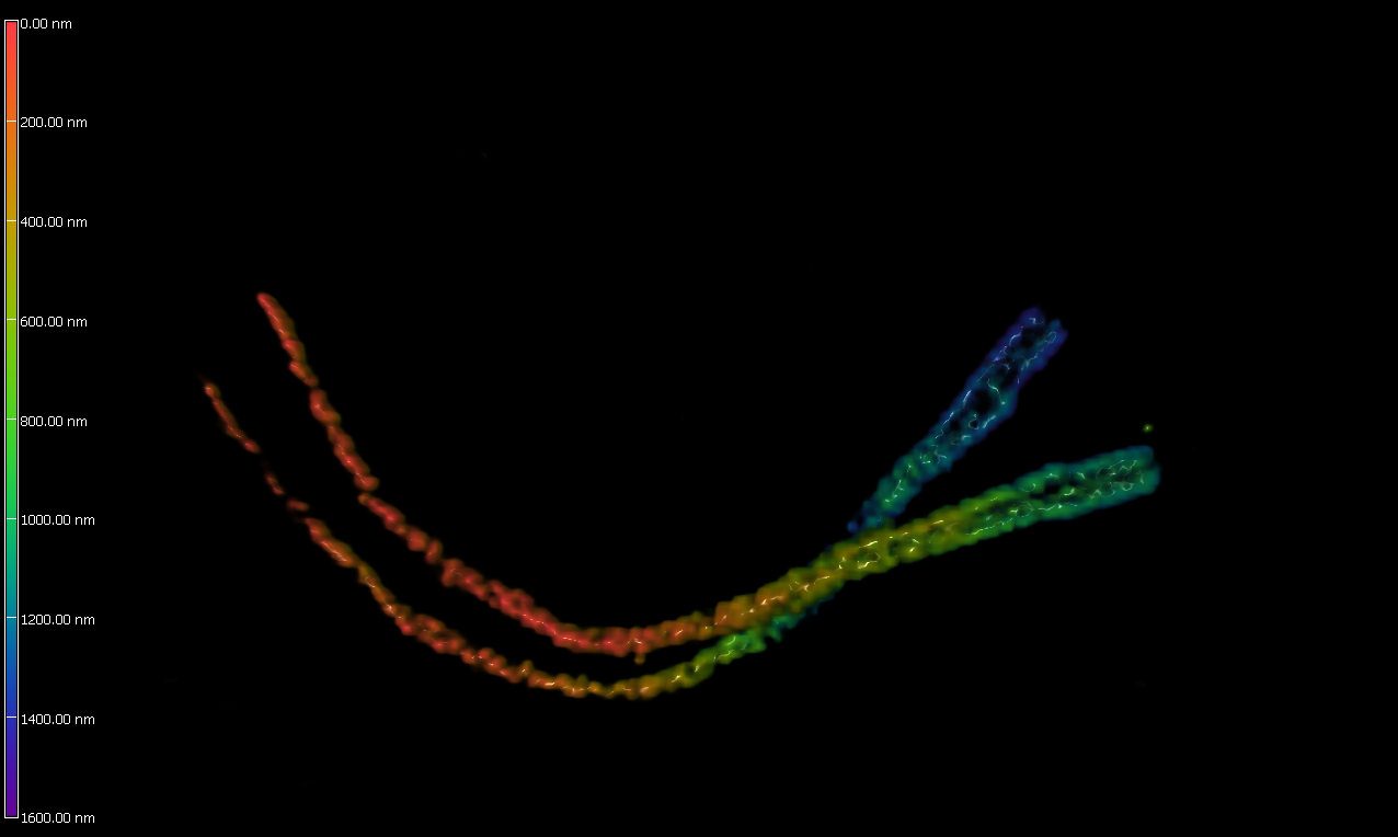 Cilia