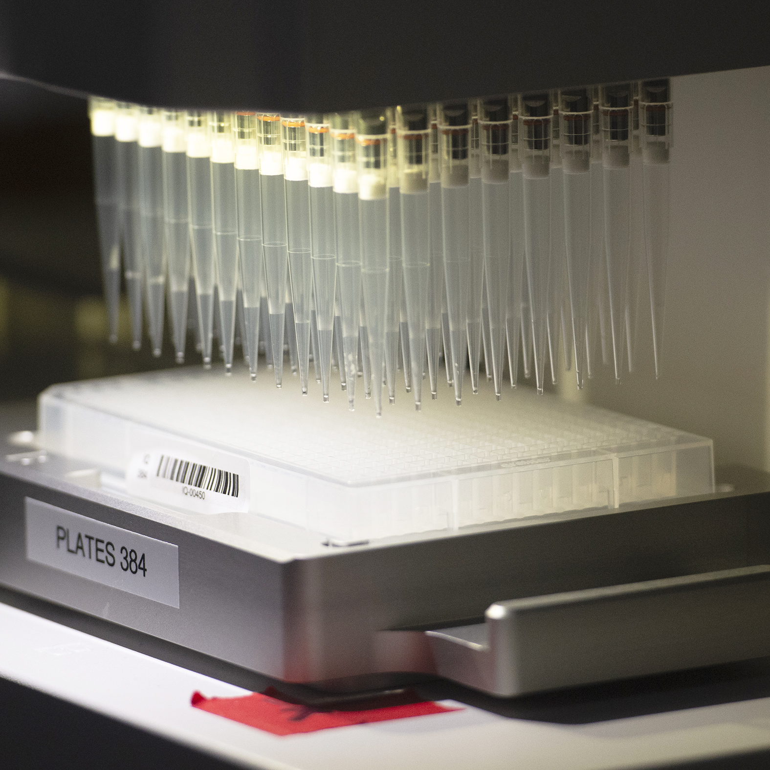 Pipettes over tray